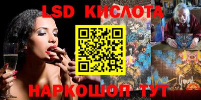 Альфа ПВП Владикавказ