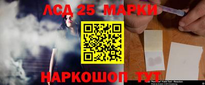 СК Владимир