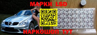 СК Владимир