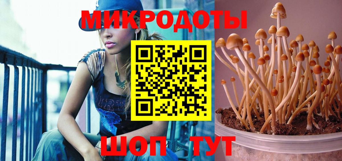 Галлюциногенные грибы мухоморы  Вход с VPN  где найти наркотики  Верхняя Пышма  Псилоцибиновые грибы Psilocybine cubensis 